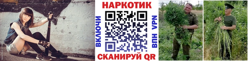 Купить закладку Кокаин  СОЛЬ  ГАШ  Меф мяу мяу  Нерюнгри