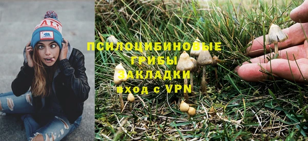 гашишное масло Орехово-Зуево