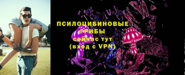 PSILOCYBIN Зеленокумск