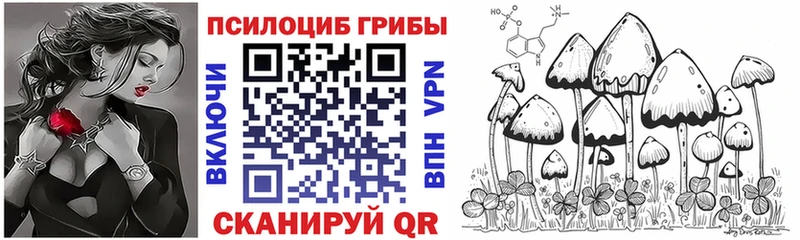 Купить Нерюнгри Галлюциногенные грибы прущие грибы