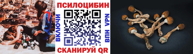 Псилоцибиновые грибы мухоморы Нерюнгри