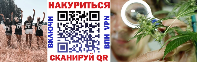 Купить закладки  Нерюнгри  Каннабис сатива 